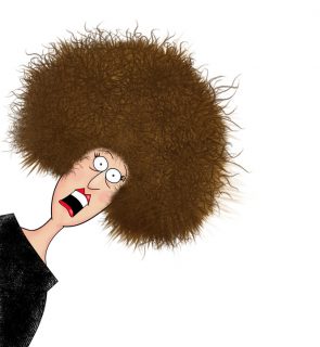 Frizzy Hair Busters Frizzy Hair Busters